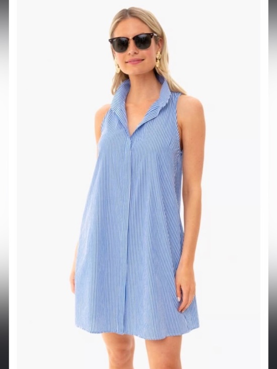 Tuckernuck Dresses & Skirts - Tuckernuck Blue and White Striped Sleeveless Mini Dress